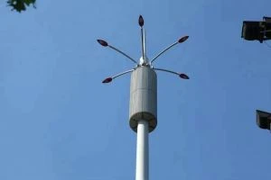 Single Tube Landscape Cell Monopole Tower