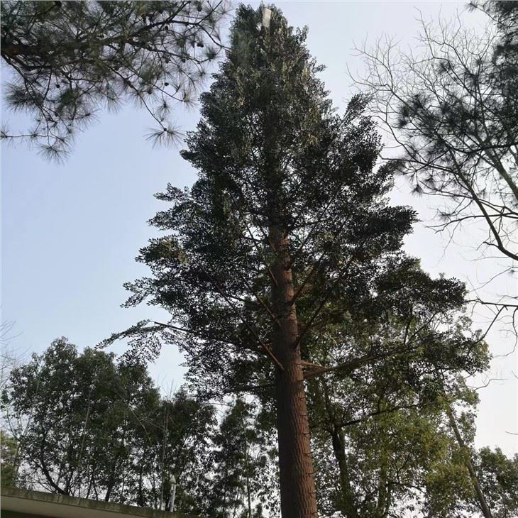 Camouflage Telecommunications Cell Tower