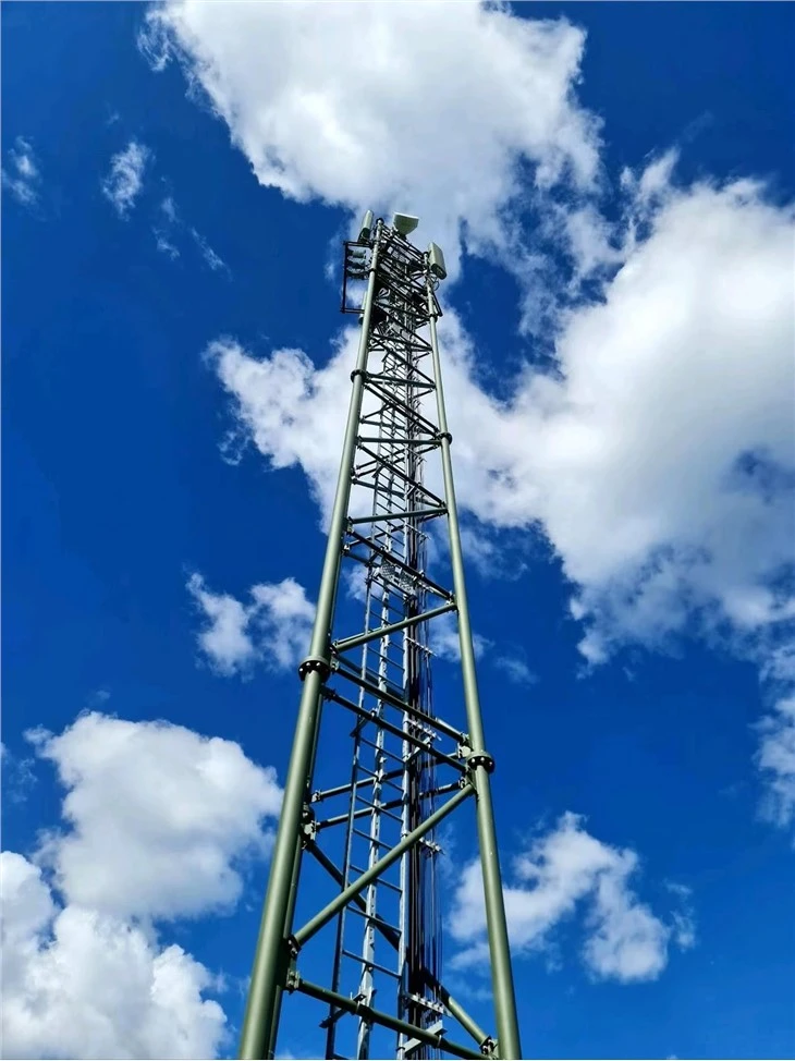 Self Supported Telecommunication Tower